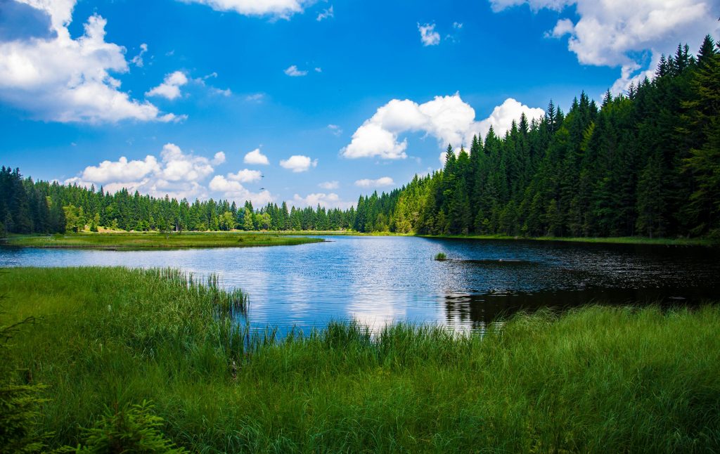 pexels-photo-247600-247600 Beautiful landscape of a tranquil lake surrounded by dense green forest under a clear blue sky.