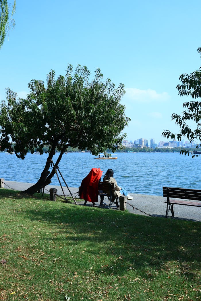Two people enjoying a peaceful day by the lake under a tree, with city skyline in the background.